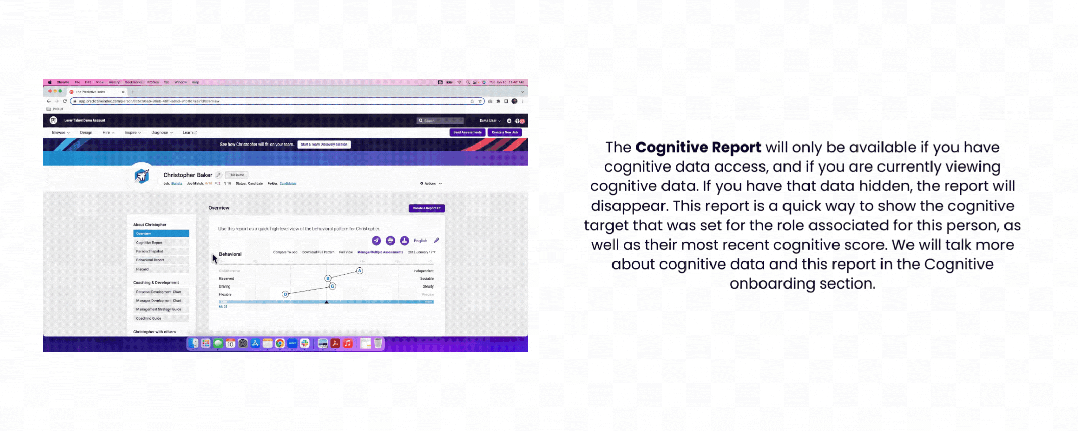 Cognitive Report