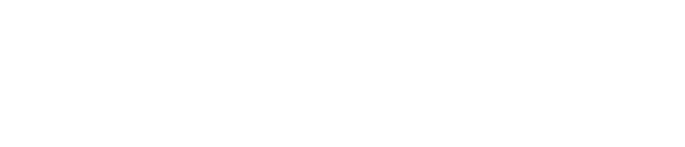 Skedda Logo White