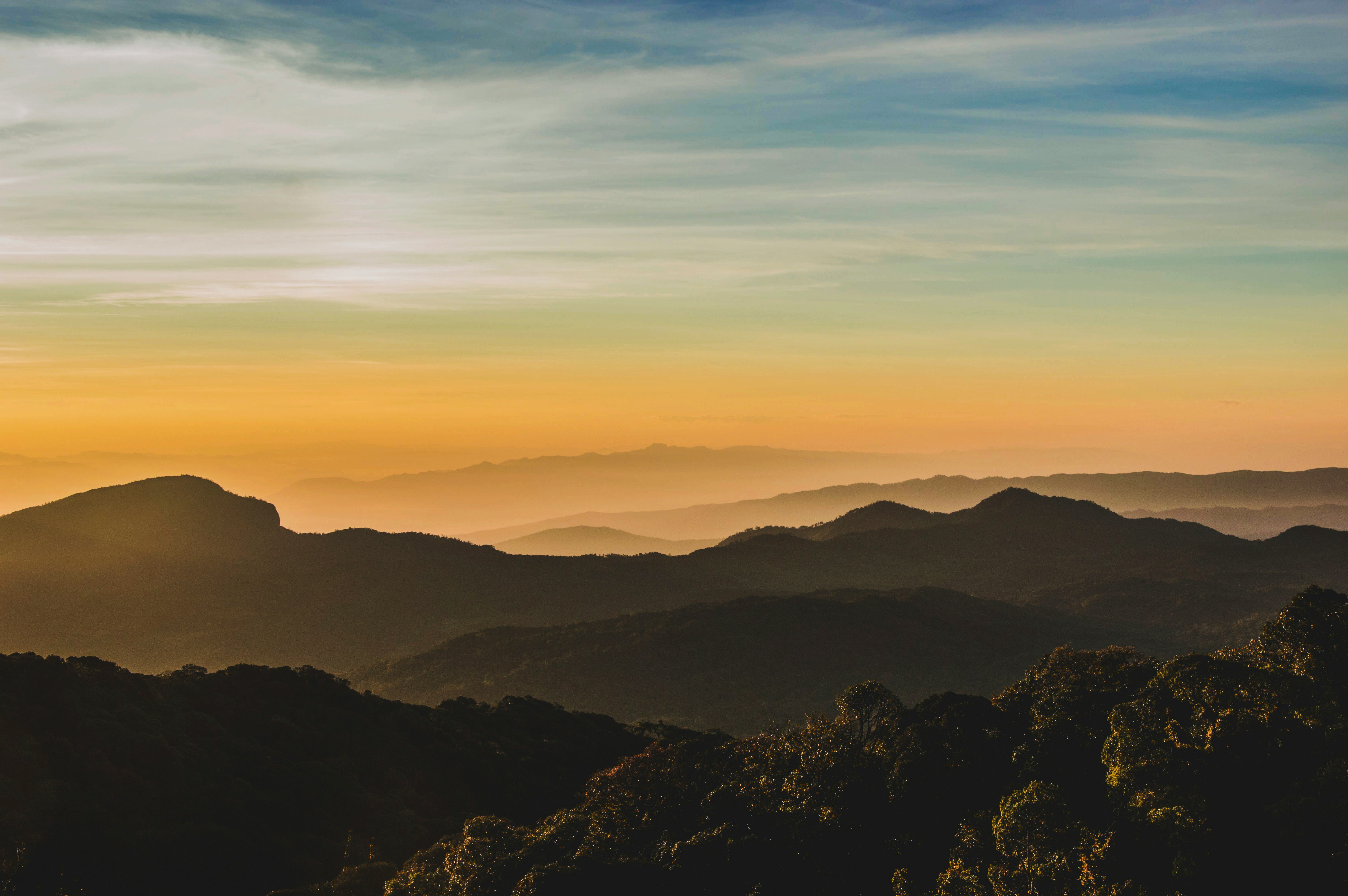 Uncover What's Holding Your Team Back
